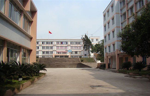成都市青白江区新锋