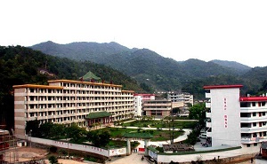 大埔县进光中学