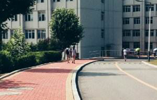 仁寿县始建镇凤鞍中