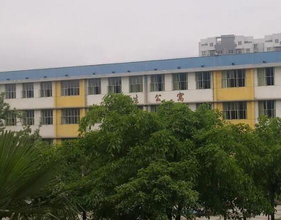 南充市顺庆区李家中