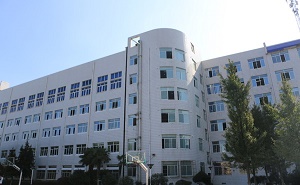 麓山国际实验学校（