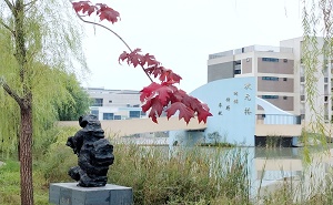 安徽省肥东第一中学