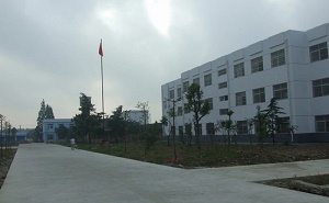 肥西丰乐中学