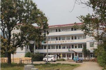 临安市堰口乡中心学