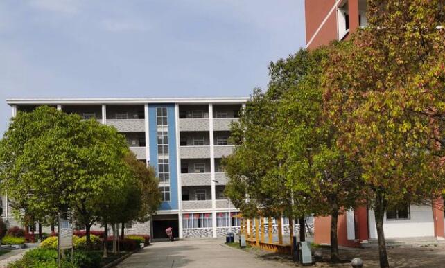 龙亢农场中学