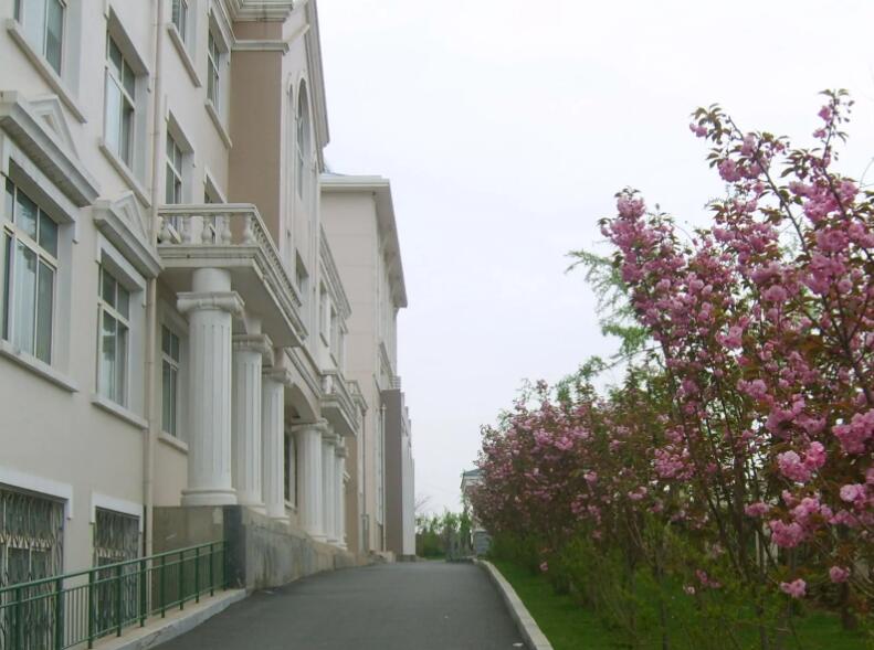 大连枫叶国际学校高