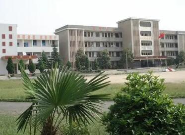 团风县锥子河中学
