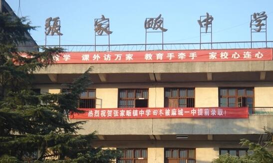 麻城市张家畈镇中学
