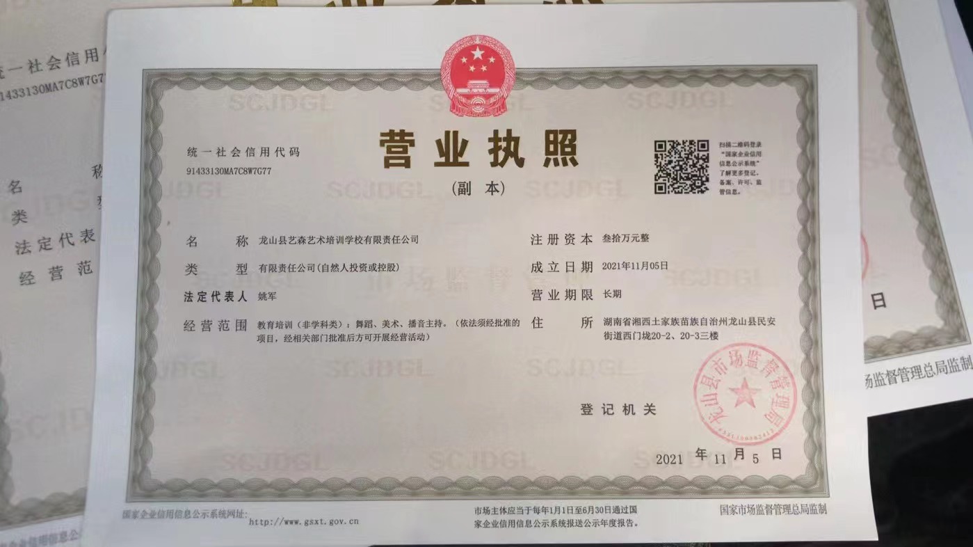 龙山县艺森艺术培训学校有限责任公司