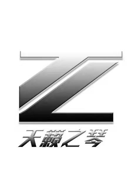孝义市天籁之琴艺术教育培训学校有限公司