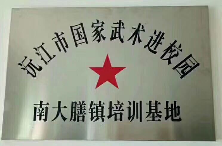 沅江市凤华武术培训