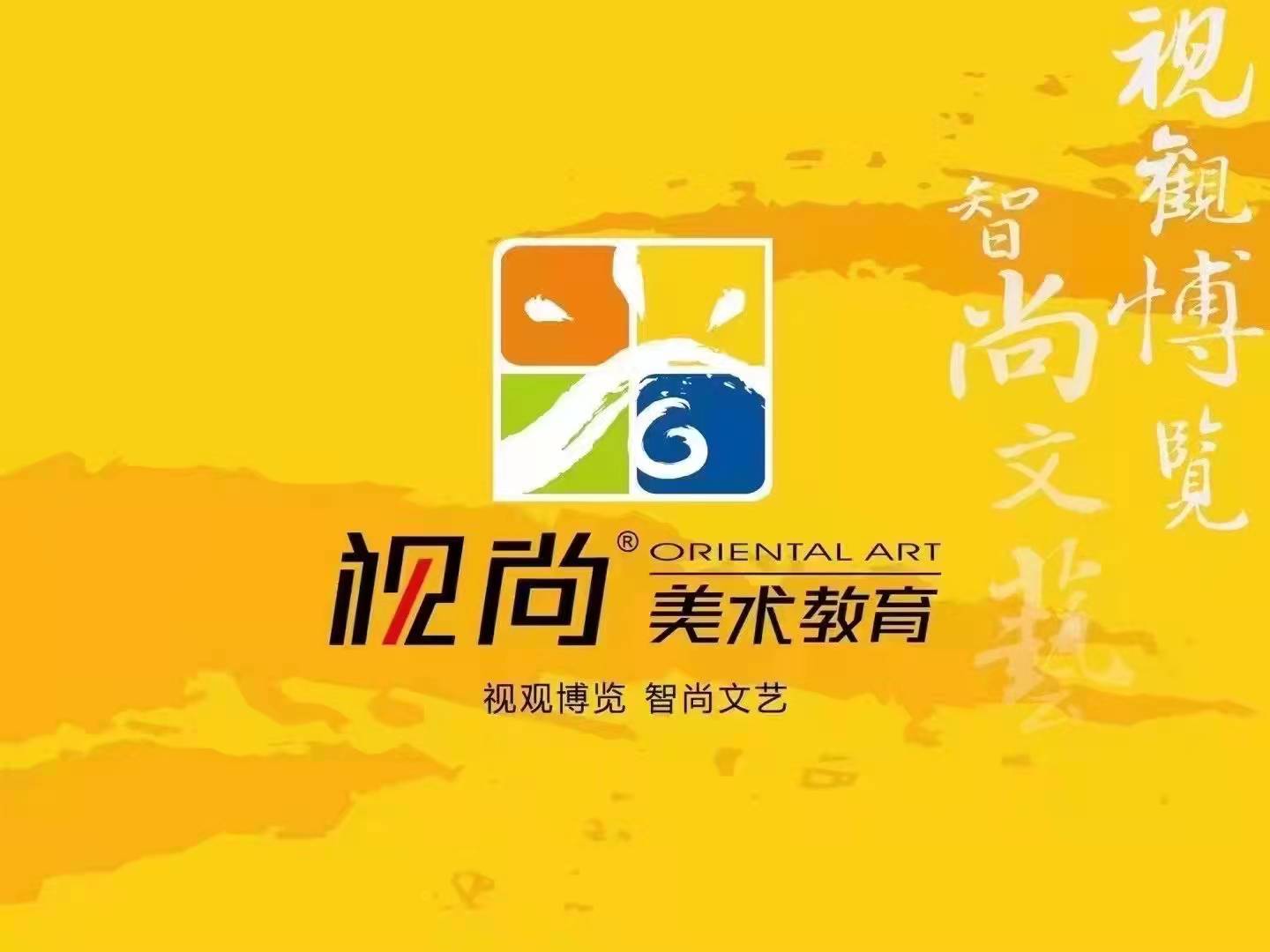 辽源市视尚美术教育培训中心有限公司
