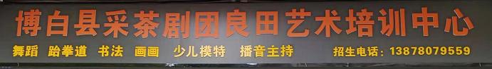 陆川县卓雅艺术培训