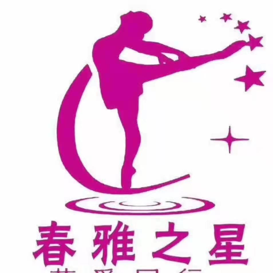 定西春雅之星艺术培训学校有限公司