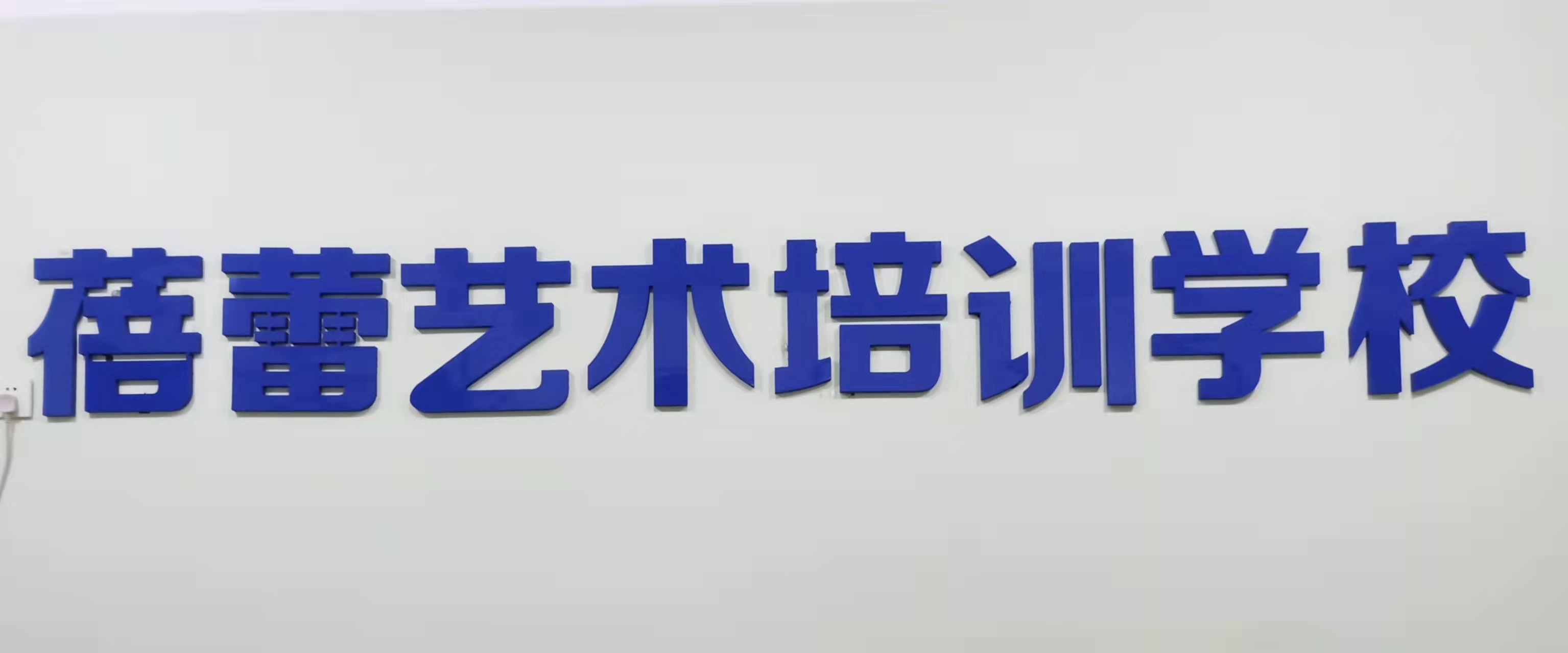 保定市莲池区蓓蕾艺术培训学校有限公司