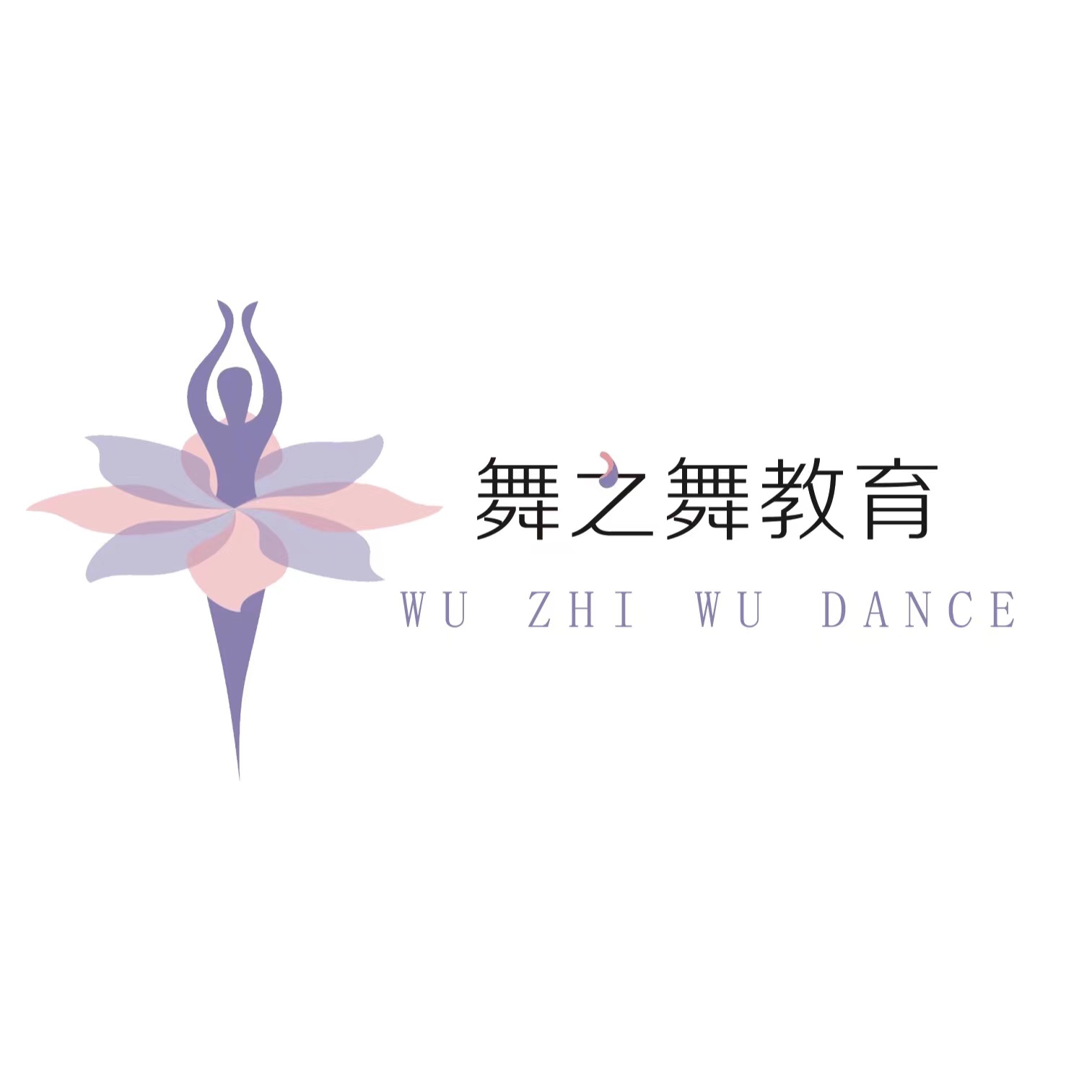 石嘴山市大武口区舞之舞教育培训有限公司
