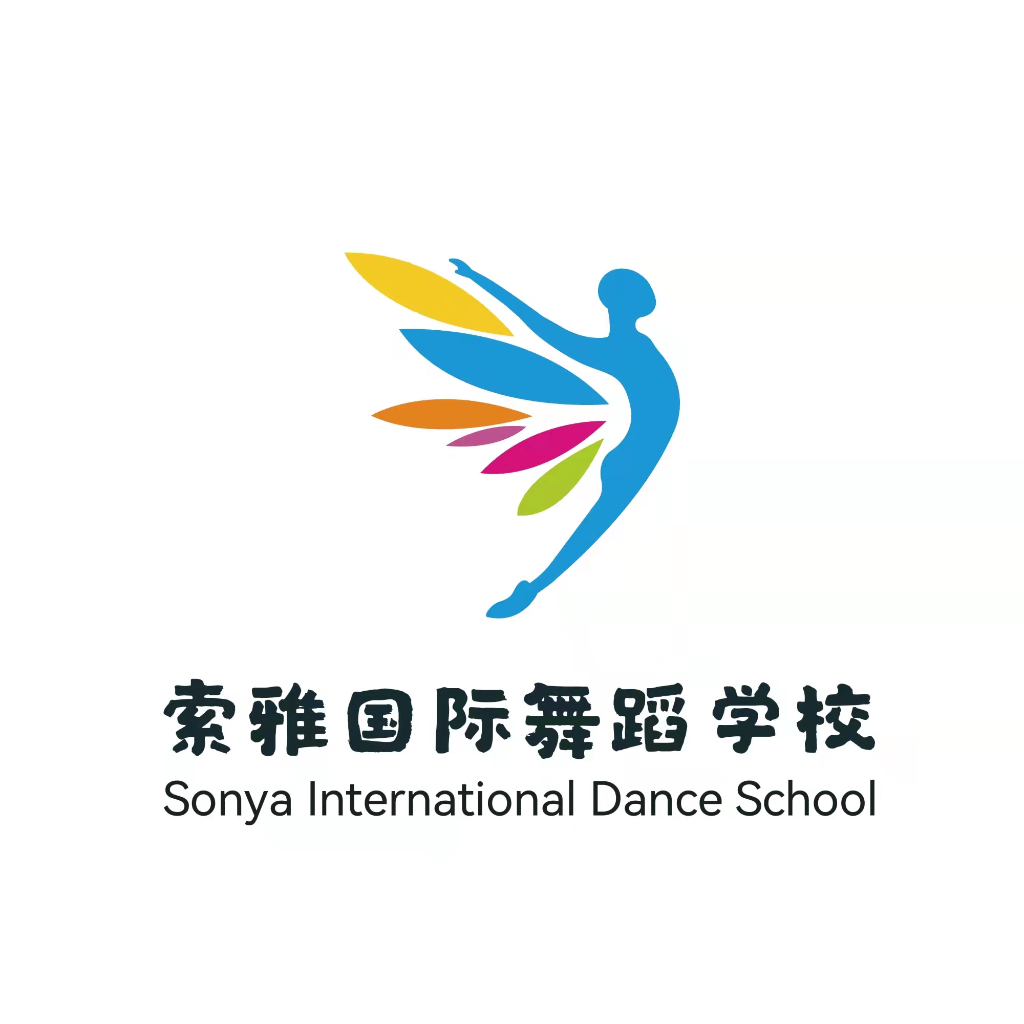 保定市莲池区索雅艺术培训学校有限公司