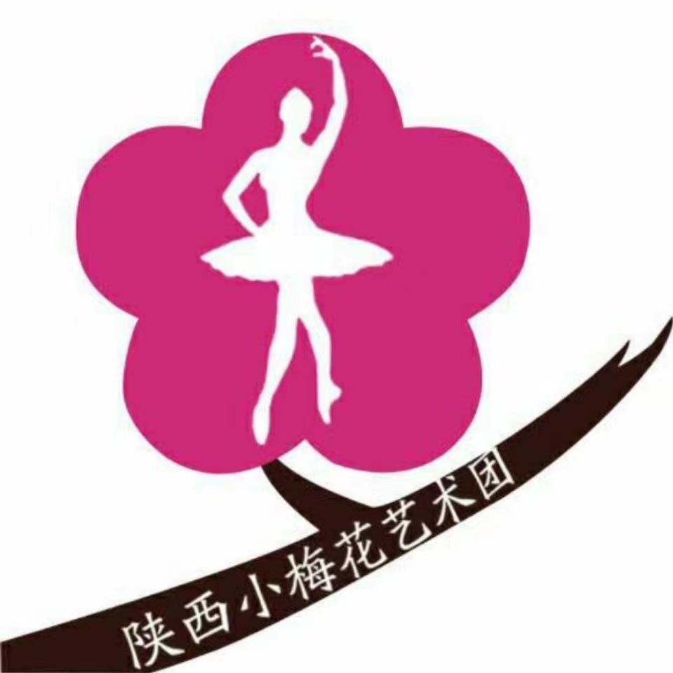 陕西小梅花艺术培训