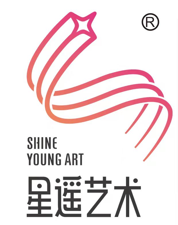 衡阳县星遥艺术培训学校有限公司