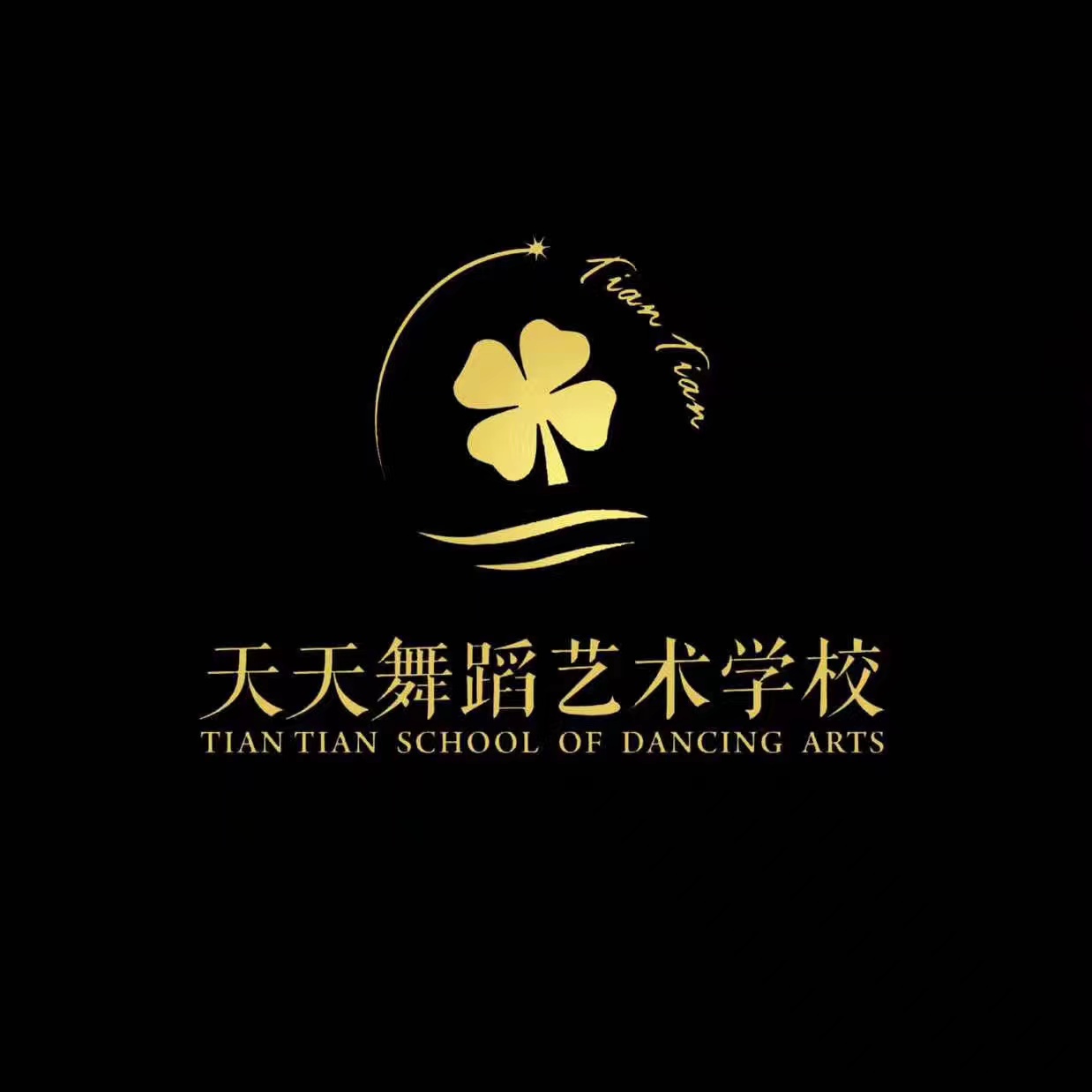 凤冈县天天少儿舞蹈