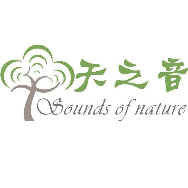 青州市天之音艺术教