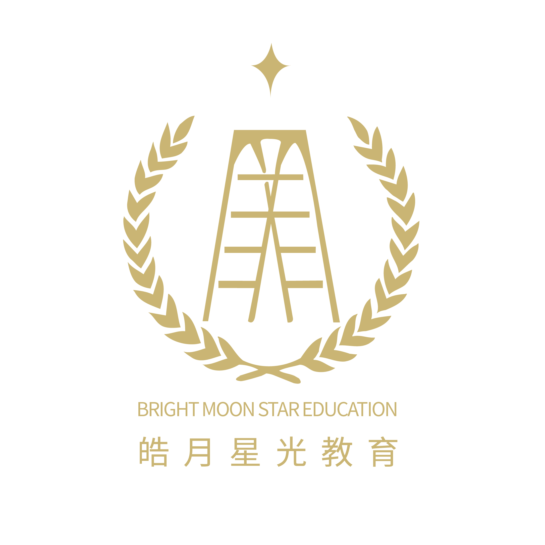 昆明市呈贡区皓月星光艺术培训学校有限公司