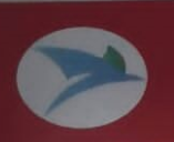 图木舒克市翩翩起舞艺术培训有限公司