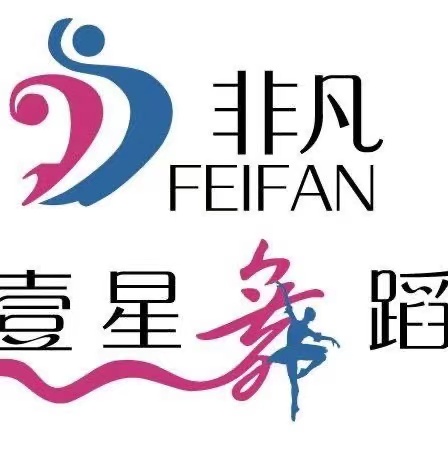 景德镇市非凡壹星艺